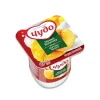 4690228008757 ПРОДУКТ ЙОГУРТНЫЙ Чудо ЛЕГКИЙ ЙОГУРТЕР ПЕРСИК, МАНГО 2,5%, БЕЗ ЗМЖ, 115Г