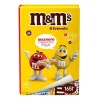 4670082503773 Подарочный набор M&M'S & Friends Книжка, 165г